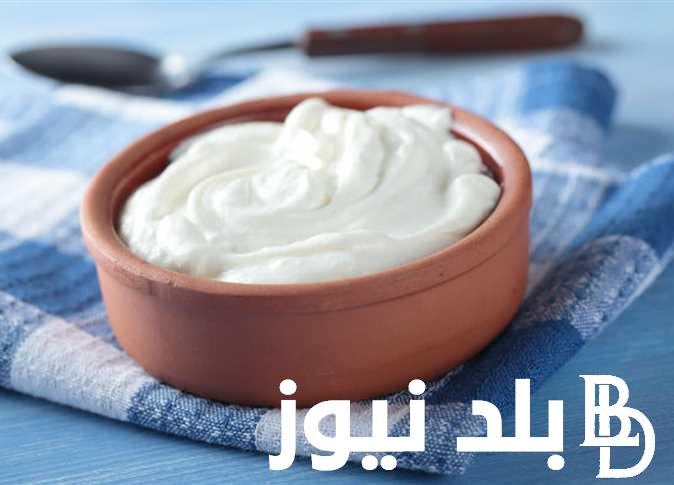 طريقة عمل الزبادي في البيت لوجبة السحور بأسهل طريقة وبمكونات متوفرة في كل البيوت