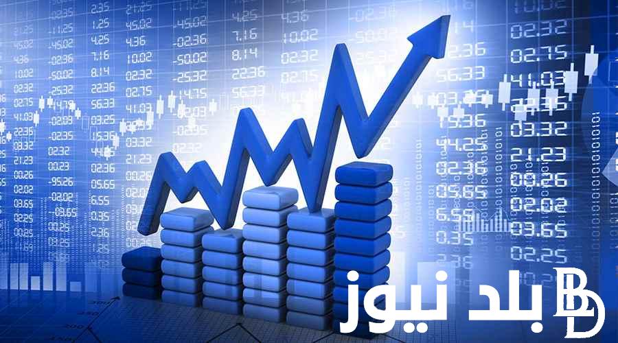 ” 600 نقطة أساس ” معنى ارتفاع سعر الفائدة وقرار البنك المركزي المصري اليوم الأربعاء 6 مارس 2024