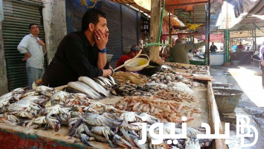 أسعار السمك اليوم السبت 23 مارس 2024 فى جميع الاسواق المصريه