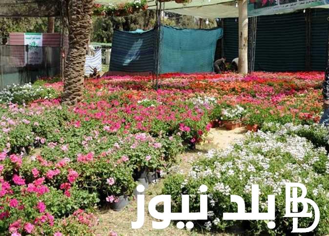 متى ينتهي فصل الشتاء 2024 رسميا.. موعد دخول شهر الربيع