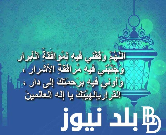 أجمل دعاء لمن تحب في رمضان 1445 “اللهم إني أسألك المغفرة لرفيقي”