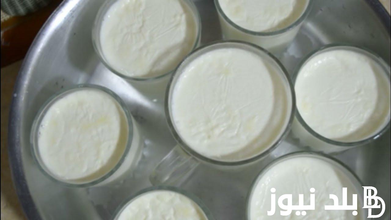 كيفية عمل الزبادي الساده والذبادى الفواكه فى البيت باسهل الخطوات