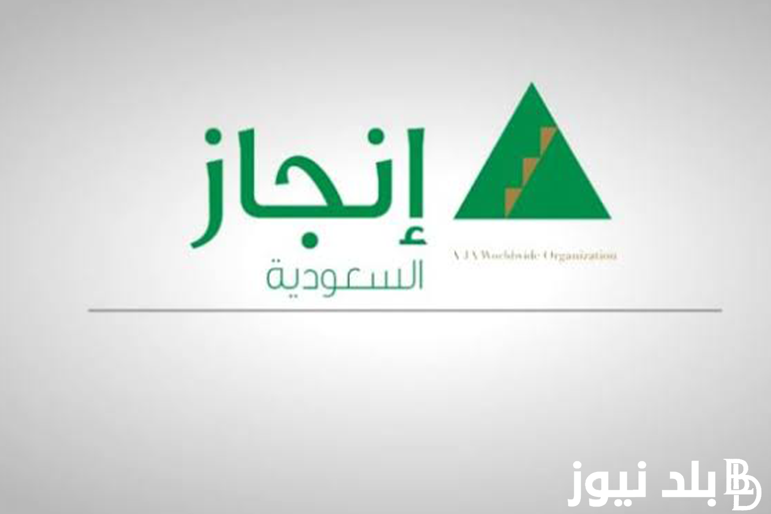 استعلام عن تأشيرة زيارة برقم الجواز 1445 عبر منصة انجاز