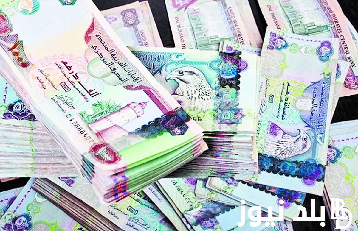 اعرف.. الدرهم الاماراتي مقابل الجنيه المصري اليوم الاحد 10 مارس 2024