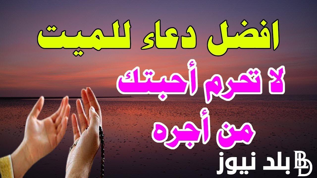أجمل دعاء لابي المتوفي في رمضان 2024 .. “اللهمّ ارحم أبي تحت التّراب وأسعده في جنة الفردوس كما أسعدني”