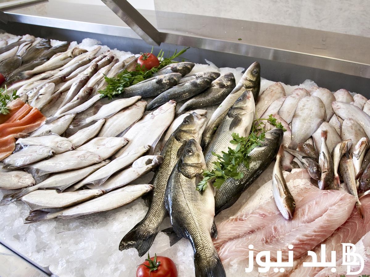 اسعار السمك اليوم الخميس 7 مارس 2024 في جميع الاسواق