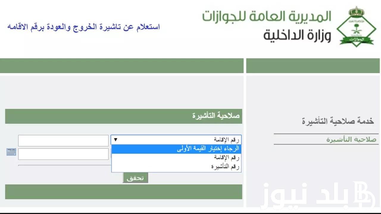 “بضغطة واحدة” استعلام عن تأشيرة برقم الطلب 2024/1445 من خلال المنصة الإلكترونية للتأشيرات visa.mofa.gov.sa