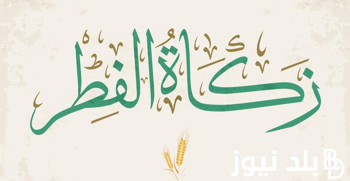 ما هى قيمة زكاة الفطر 2024 في مصر وفقاً لما اعلنته دار الافتاء المصرية