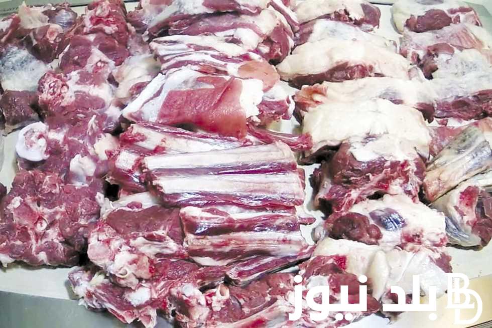 الكندوز وصلت كام؟ اسعار اللحوم اليوم الاثنين 4 مارس 2024 في محلات الجزارة