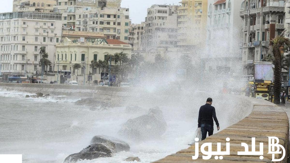 المدارس والكليات هتقفل !! تعطيل الدراسة غدا في القاهرة والاسكندرية حقيقة ام لا؟ | تعرف علي حقيقة تعطيل الدراسة غدًا ودرجات الحرارة المتوقعة