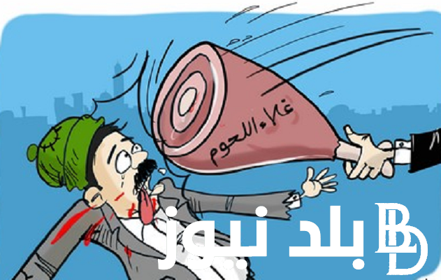 ” جملي وضاني ” اسعار اللحوم اليوم الأربعاء 6 مارس 2024 في الأسواق ومحلات الجزارة للمستهلك