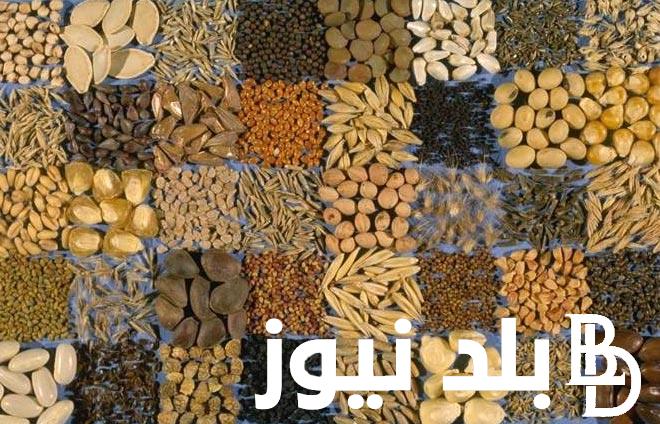 “الناهي و النامي” اسعار العلف اليوم الاثنين 11 مارس 2024 في جميع الاسواق