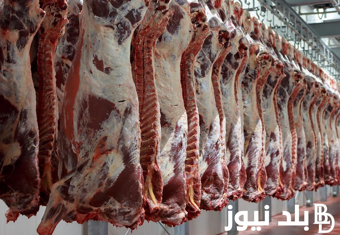 اسعار اللحوم اليوم الاثنين 11 مارس 2024 في جميع منافذ الزراعة