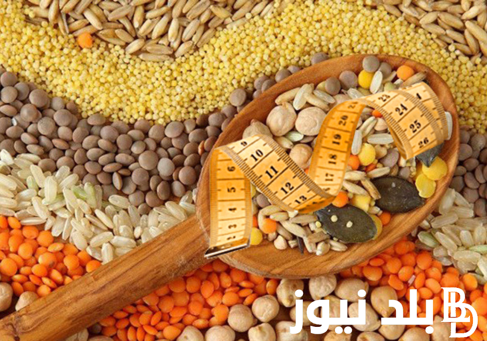 “الشيكارة تتراجع” سعر طن الذرة الصفراء اليوم السبت 23 مارس 2024 في الاسواق المحلية