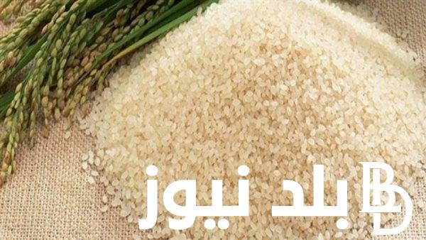 تعرف على سعر طن الارز الشعير اليوم الأربعاء 6 مارس 2024 في الأسواق للمستهلك