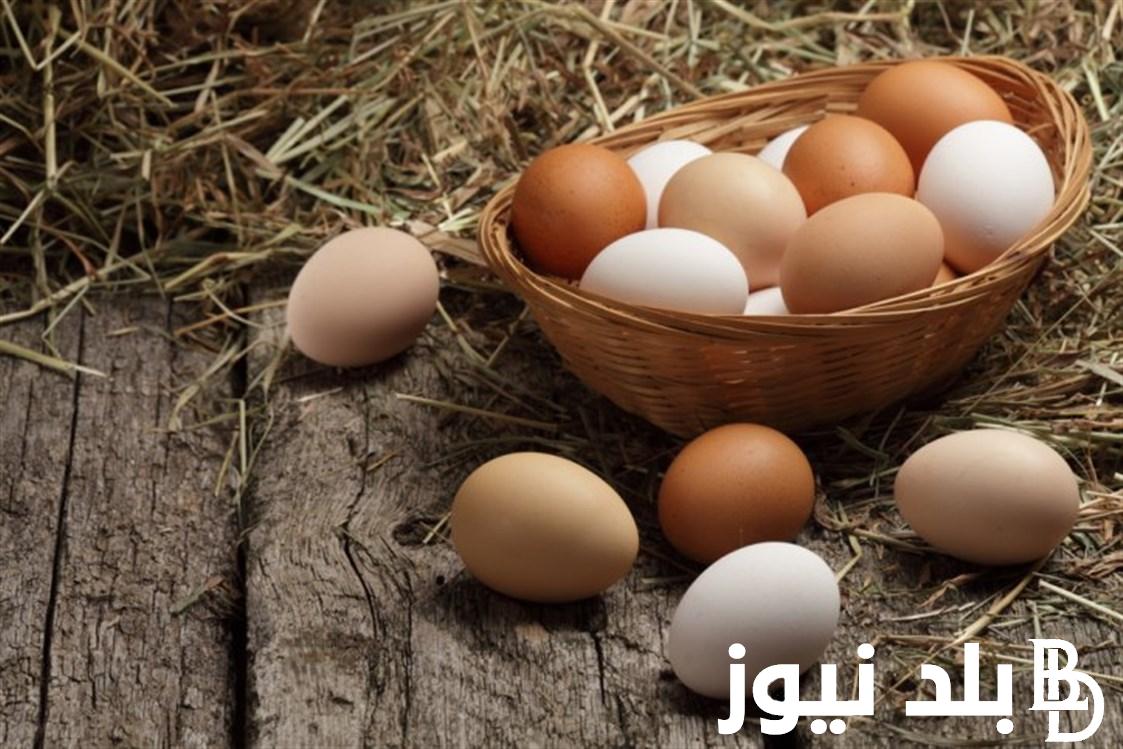 “الكتكوت بكام؟” سعر البيض اليوم الخميس 14 مارس 2024 في جميع الاسواق المحلية
