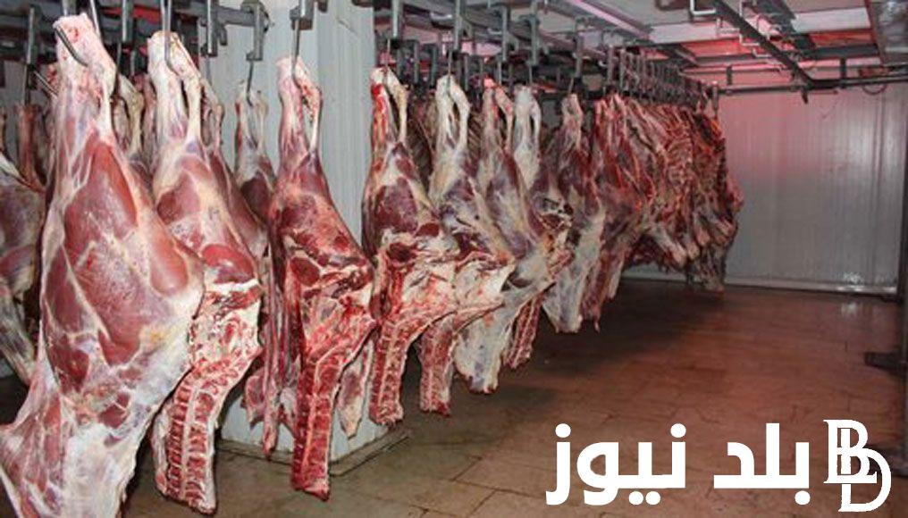 قائمة اسعار اللحوم اليوم الأربعاء 27 مارس 2024 في الأسواق المصرية والمنافذ للمستهلك