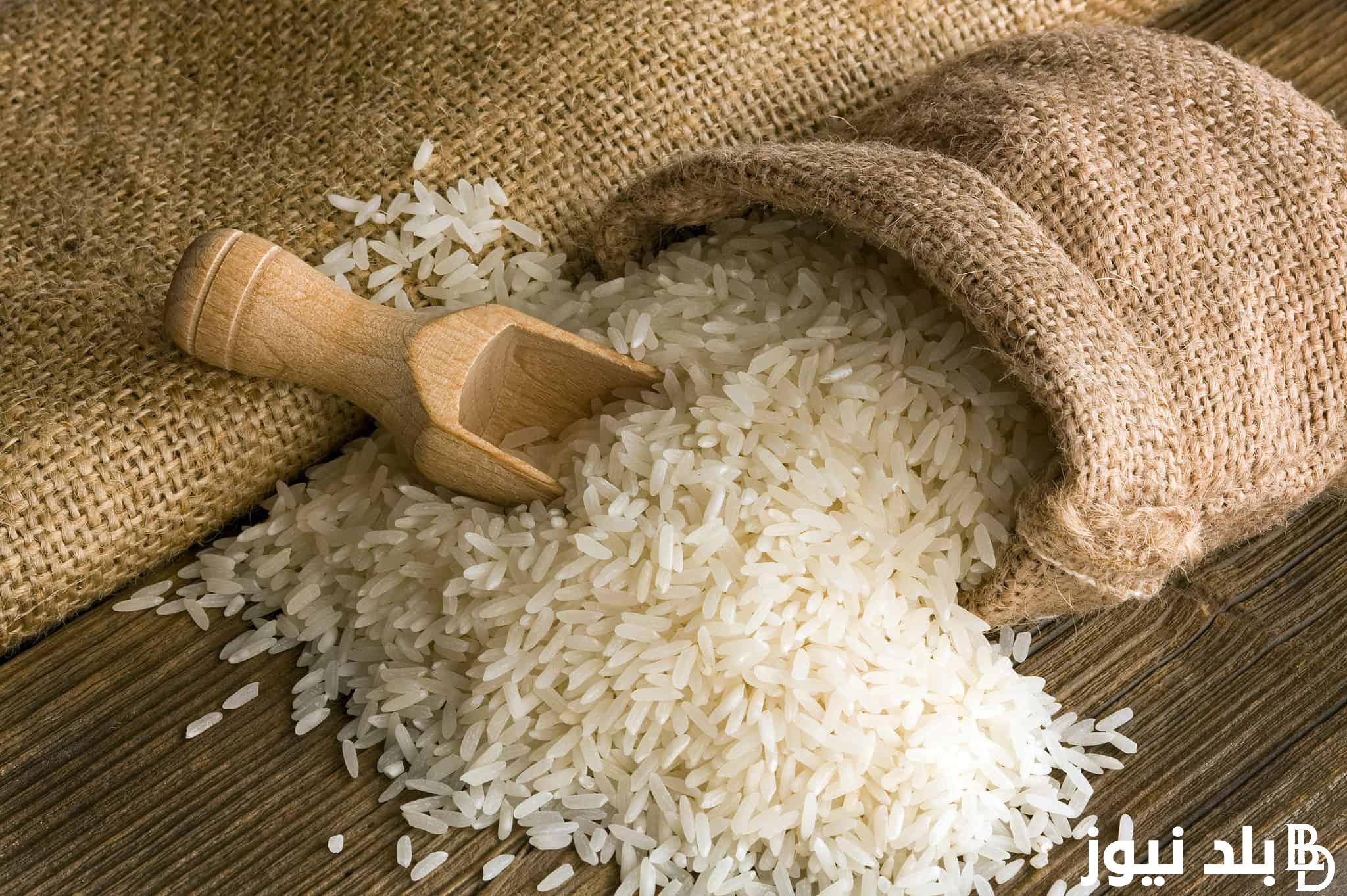 كم سعر طن الأرز الشعير اليوم الاثنين 1 رمضان 2024 للمستهلك في مصر