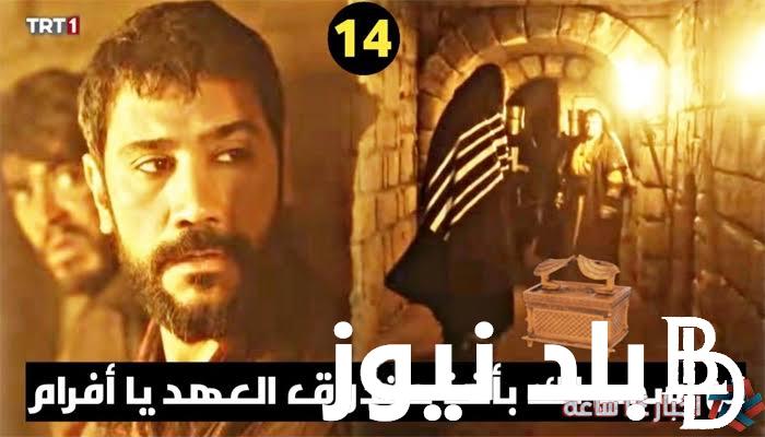 تَابع الحلقة 17 مسلسل صلاح الدين الأيوبي الحلقة 17 مترجمة على القنوات الناقلة الحلقة الجديدة من صَلاح الدين
