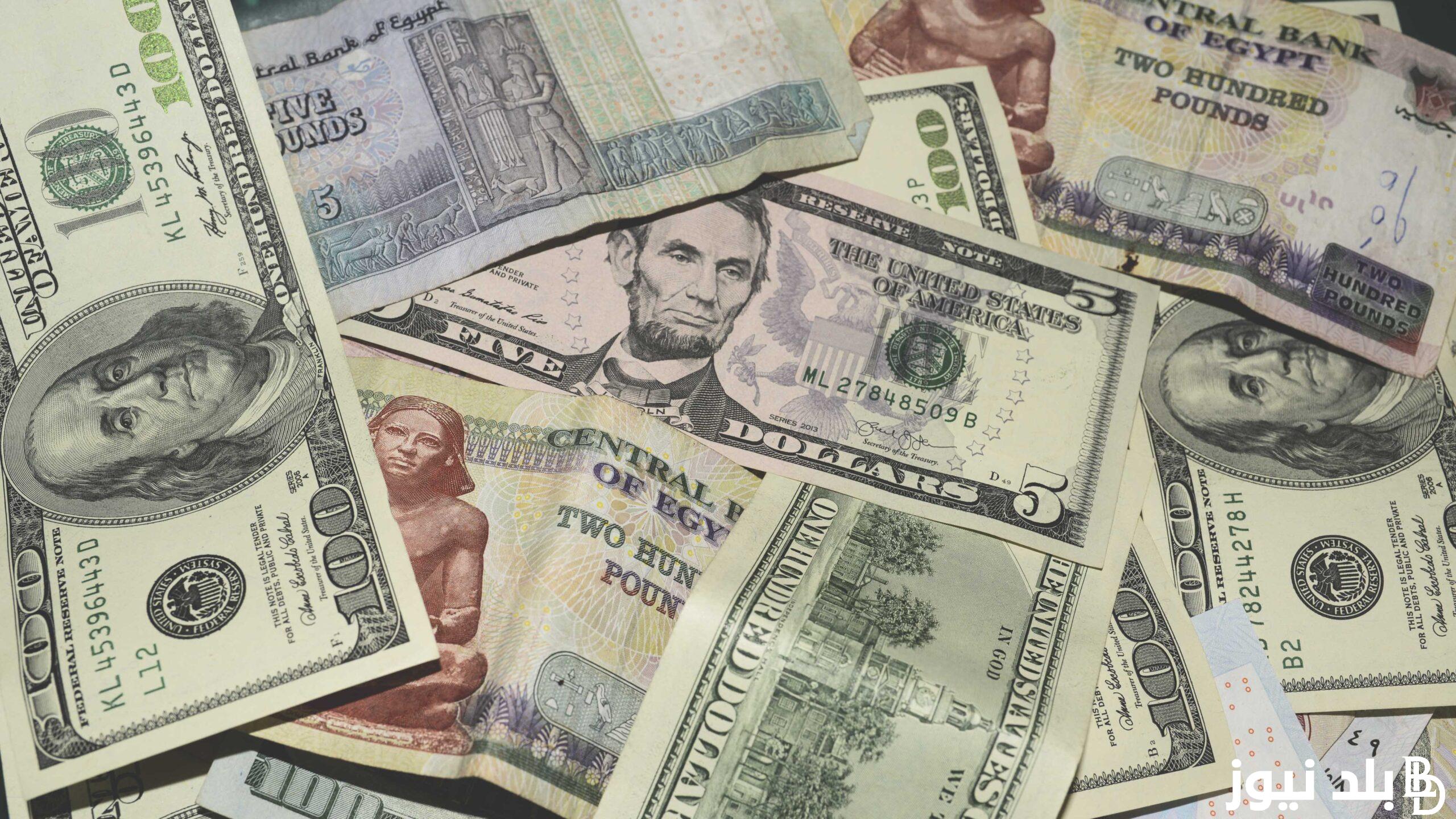 سعر الدولار اليوم البنك المركزي الثلاثاء 19 مارس 2024 في مصر