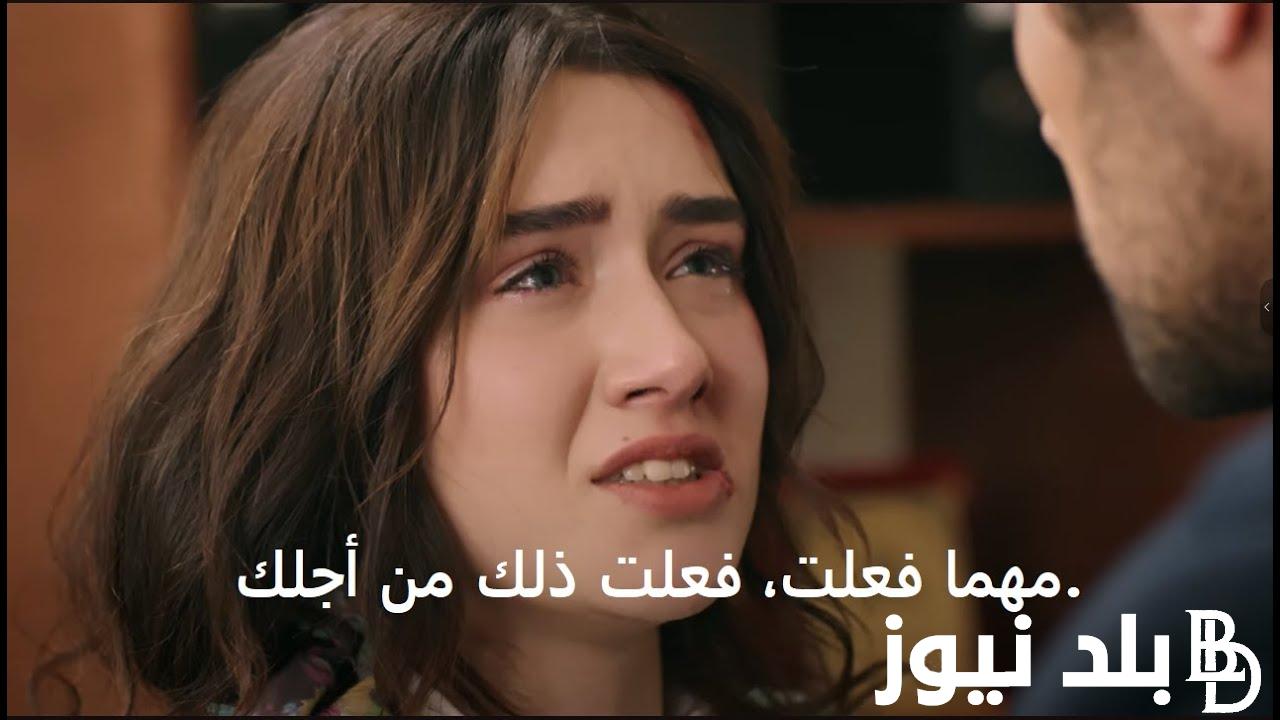 حصريًا.. مسلسل تل الرياح الحلقة 44 مترجمة وتردد القنوات الناقلة للمسلسل بجودة عالية