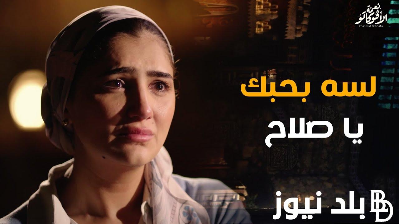 “نعمة مازالت تحب صلاح” مواعيد مسلسل نعمه الافوكاتو 2024 بطولة مي عمر على قناة mbc مصر