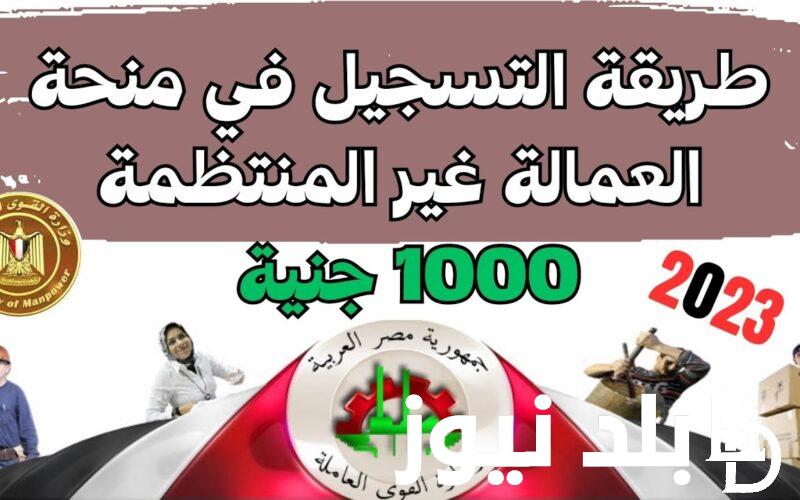 ادخل سجل واقبض “1000 جنية” || رابط وطريقه تسجيل منحة العمالة غير المنتظمة 2024 موقع وزاره القوى العاملة