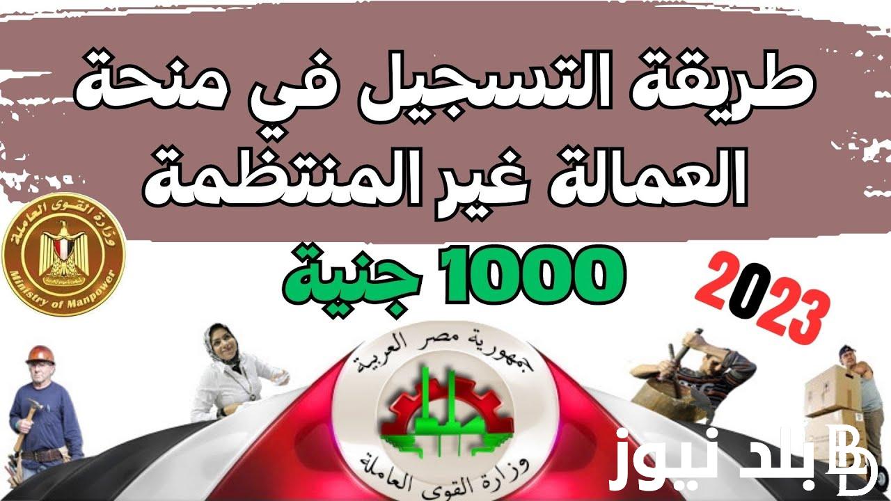 استعلم واقبض 1000 جنية || رابط الاستعلام عن منحة العمالة غير المنتظمة 2024 وخطوات التسجيل موقع “manpower.gov” وزارة القوي العاملة المصرية