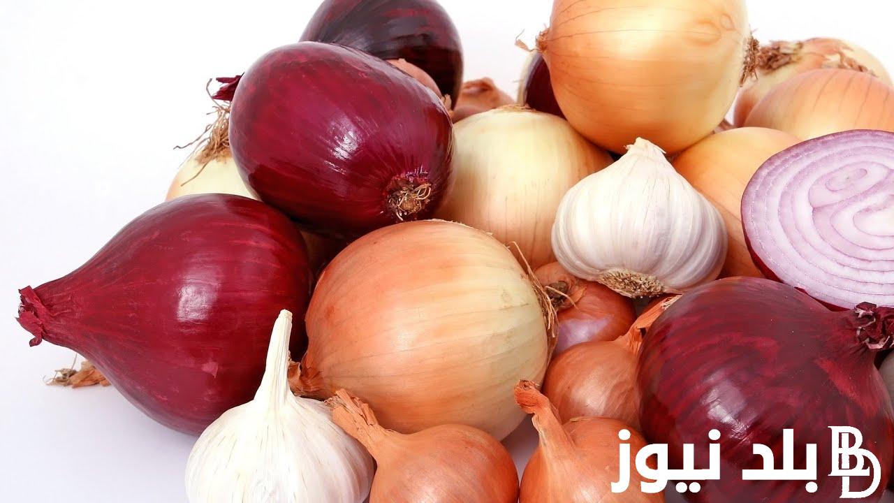 “أحمر وأصغر” اسعار البصل في سوق العبور اليوم الأربعاء 2024 للمستهلك