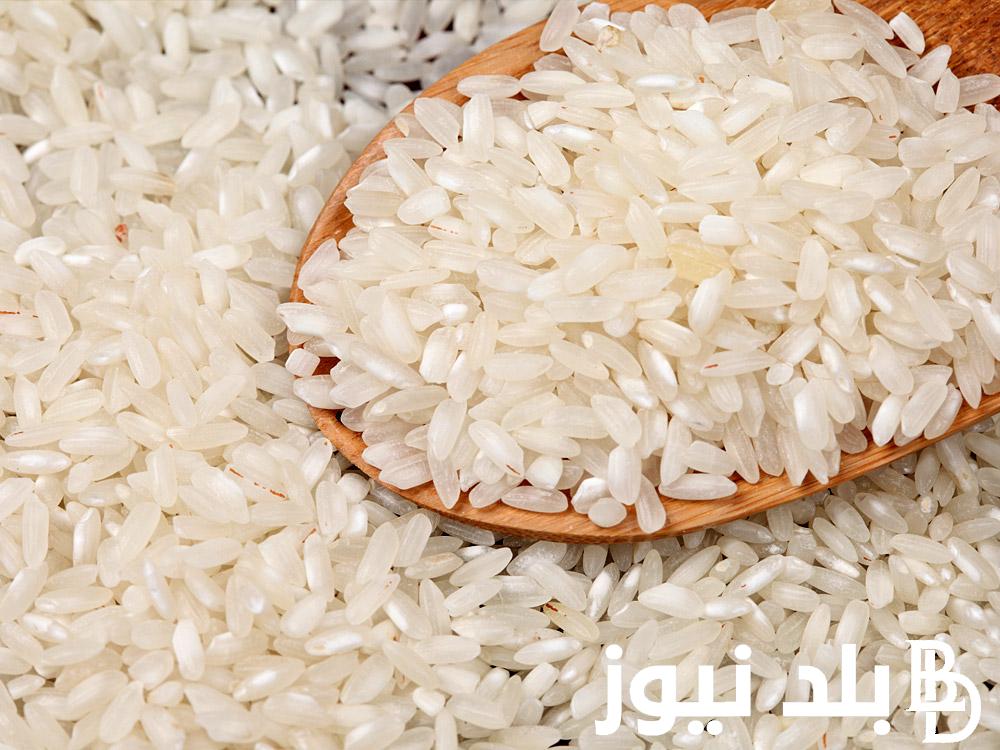 الكليو بكام؟.. سعر الأرز اليوم في مصر الثلاثاء 19 مارس 2024 في جميع الاسواق التجارية