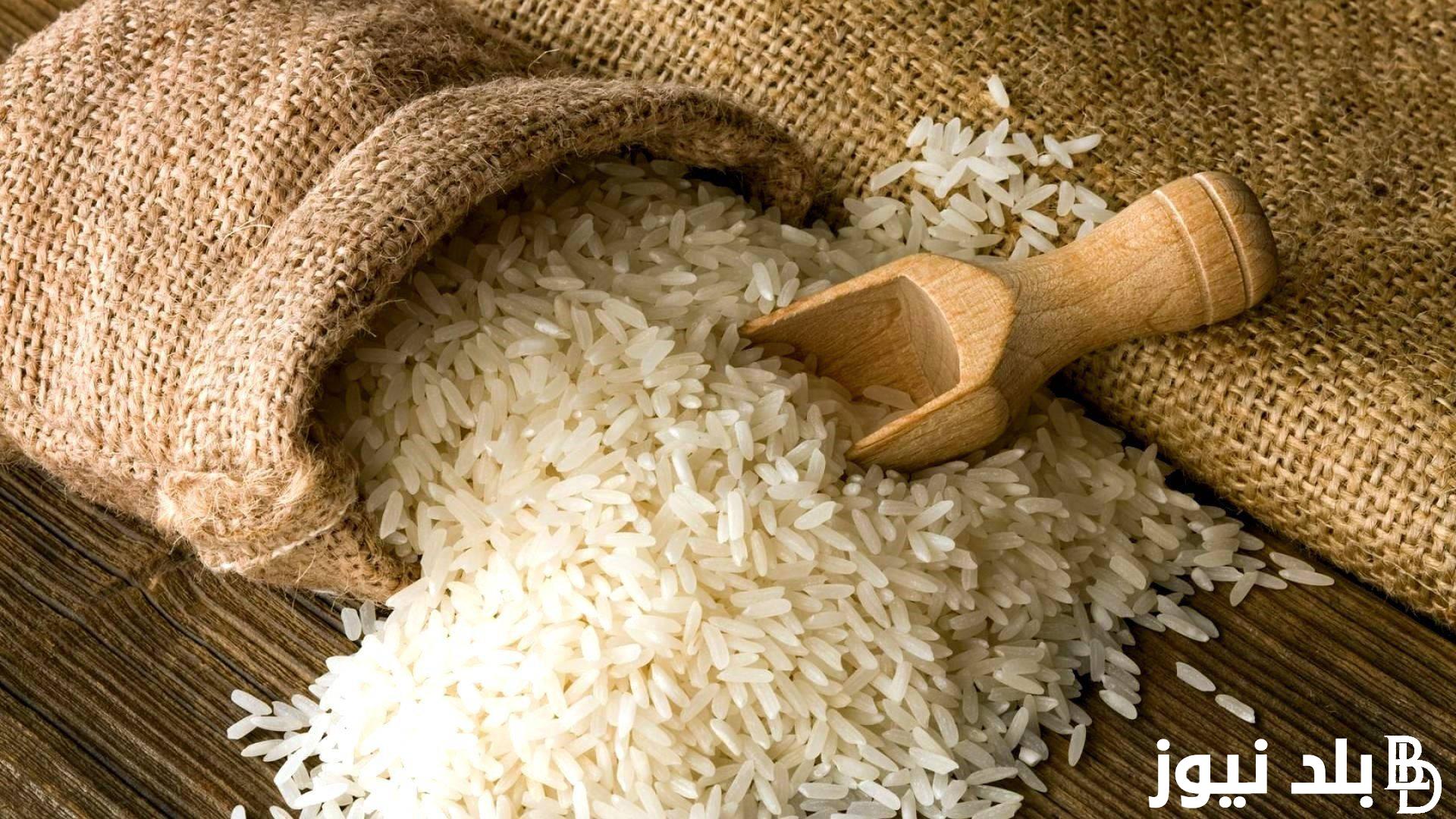 “العريضة و الرفيعة” سعر طن الأرز الشعير اليوم السبت 2 مارس 2024 في الاسواق