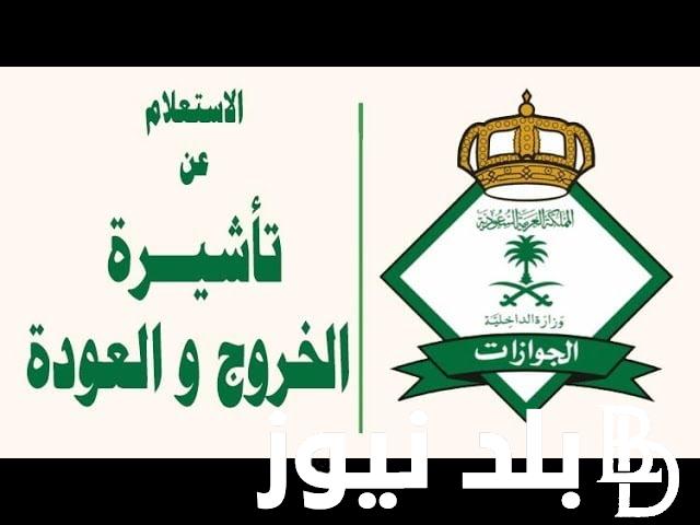 الاستعلام عن تأشيرة خروج وعودة 2024 برقم الجواز عبر منصة ابشر absher
