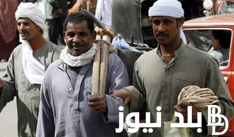 منحة العمالة الغير منتظمة 1000 جنيه 2024 رابط التقديم وخطوات الاستعلام