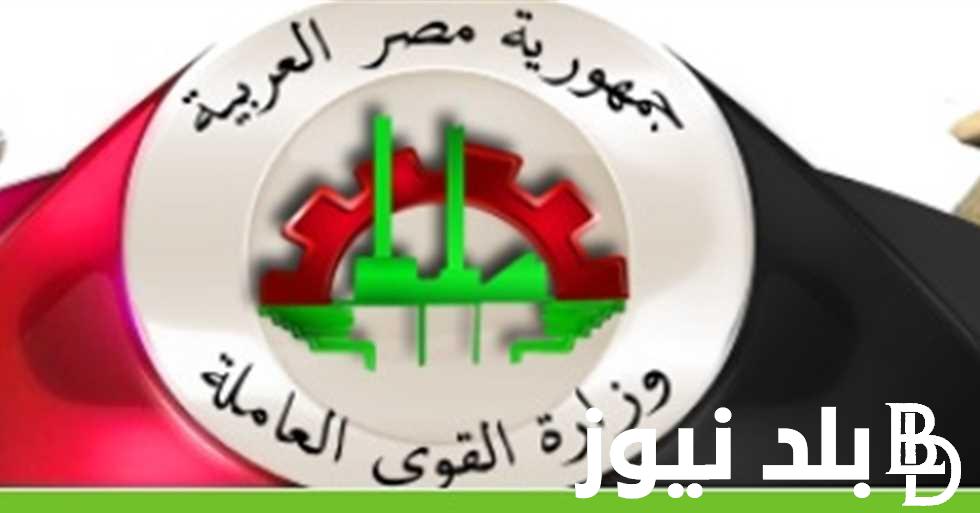 ااقبض “1000 جنيه” لينك التسجيل في منحة العمالة الغير منتظمة 2024 للحصول على منحة manpower وزارة القوى العاملة توقيت الصرف