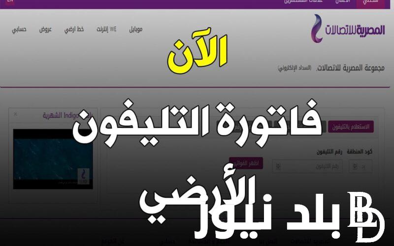 الاستعلام عن فواتير التليفون الأرضي بالاسم والرقم عبر te.eg بالخطوات