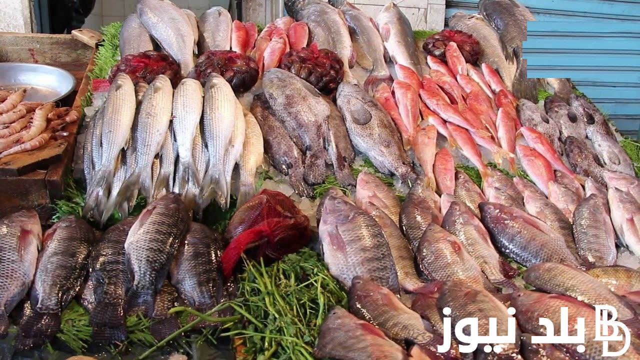 البلطي بكام؟.. أسعار السمك في سوق العبور اليوم الاحد الموافق 14 ابريل 2024