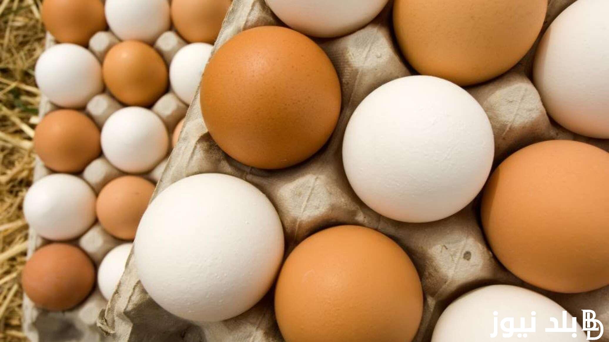 وصل كام؟.. سعر كرتونة البيض اليوم الثلاثاء الموافق 2 ابريل 2024 في بورصة الدواجن وللمستهلك