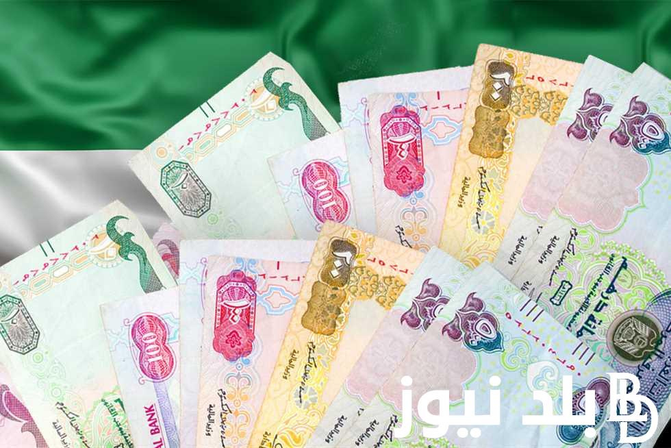 بكام؟.. سعر الدرهم الاماراتي مقابل الجنيه في البنوك المصرية والسوق السوداء اليوم الاثنين 15 ابريل 2024
