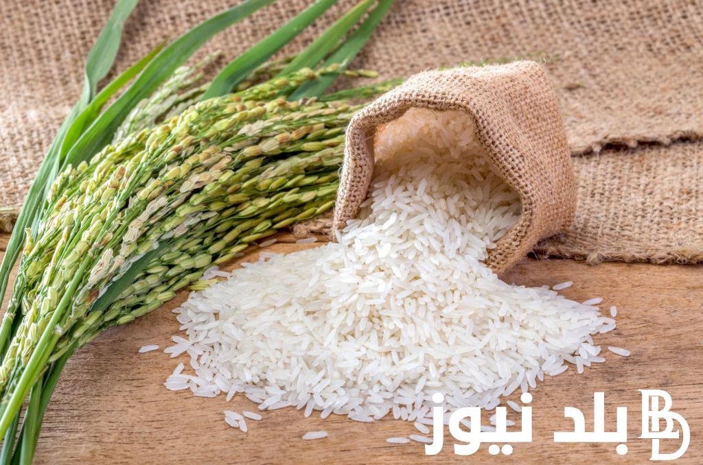 سعر الأرز الشعير الآن 2024 للمستهلكين في مصر