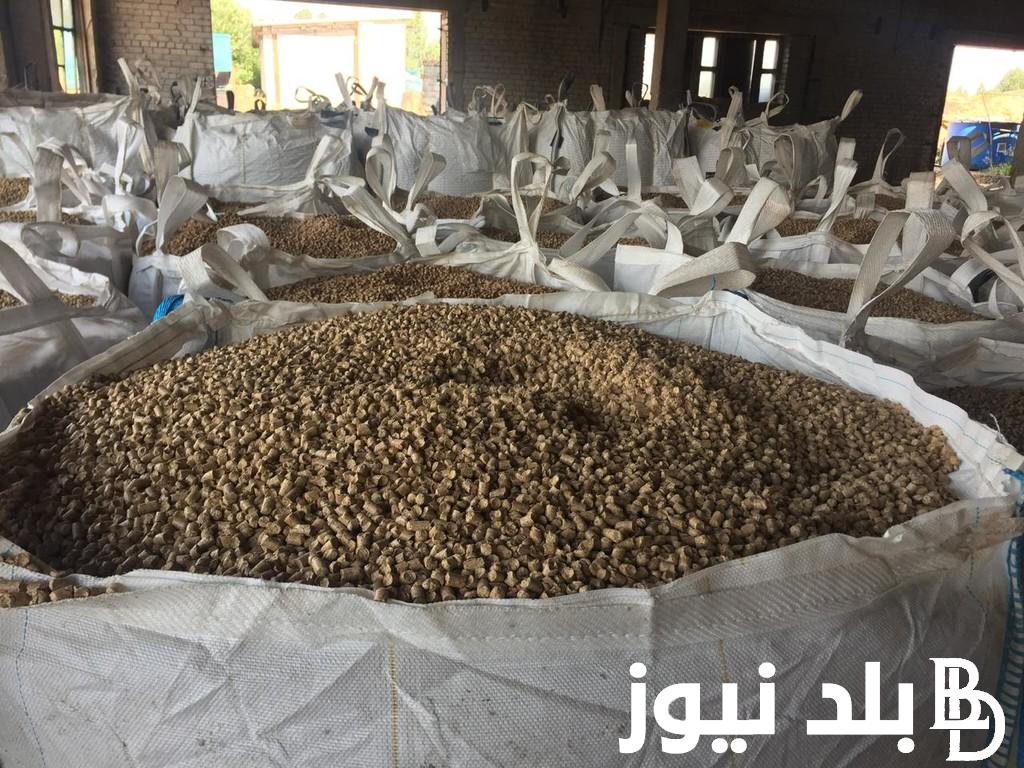 “دواجن و نعام” أسعار العلف اليوم الأحد 14 أبريل 2024 في مصر بجميع الاسواق