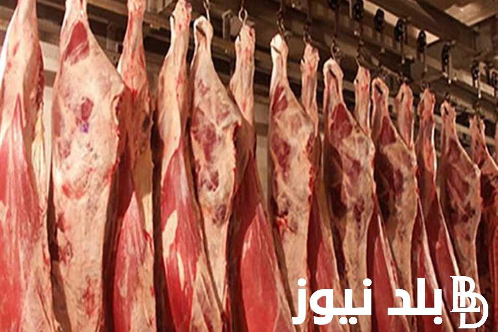 كيلو اللحمة بكام؟.. اسعار اللحوم اليوم السبت 6 ابريل 2024 في جميع محلات الجزارة ومنافذ الزراعة