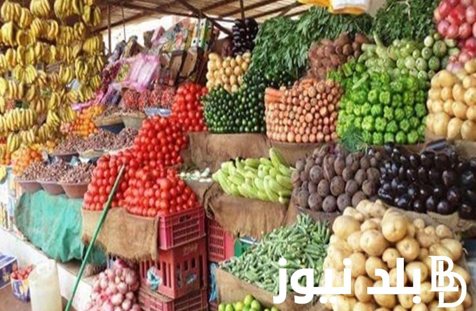اسعار الخضار اليوم الاحد 14 ابريل 2024 فى جميع الاسواق المصريه