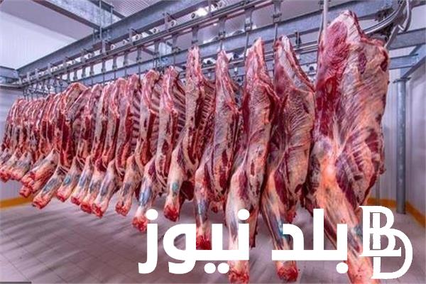 البتلو بكام؟.. أسعار اللحوم اليوم الاثنين 8 ابريل 2024 في جميع محلات الجزارة ومنافذ الوزارة