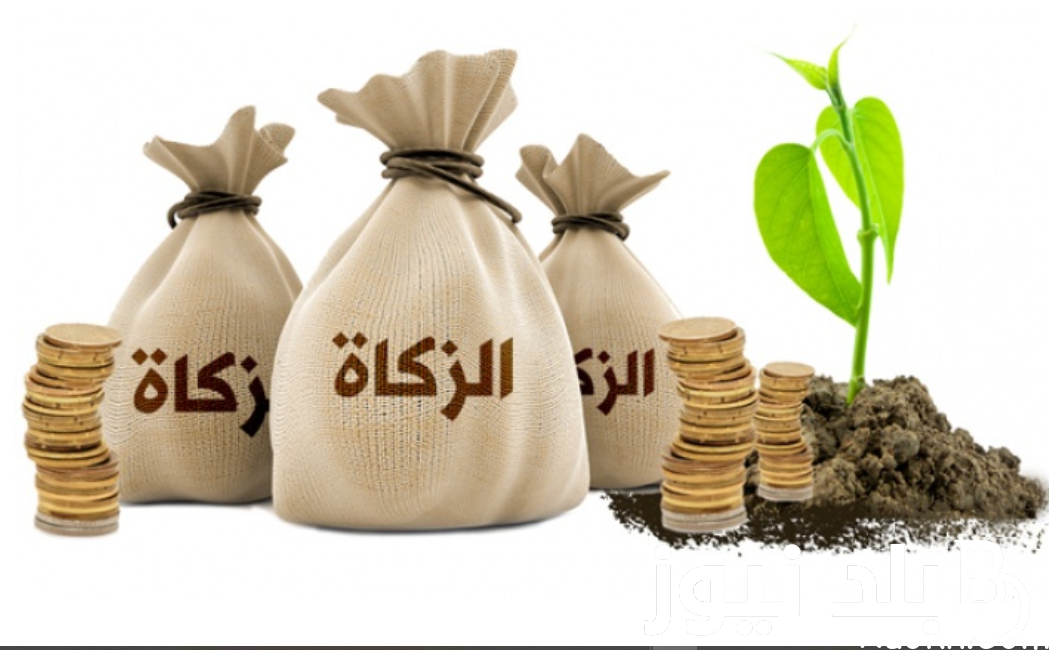 “الحق قبل فوات الأوان” مقدار زكاه الفطر 2024 وفقاً لدار الإفتاء المصرية
