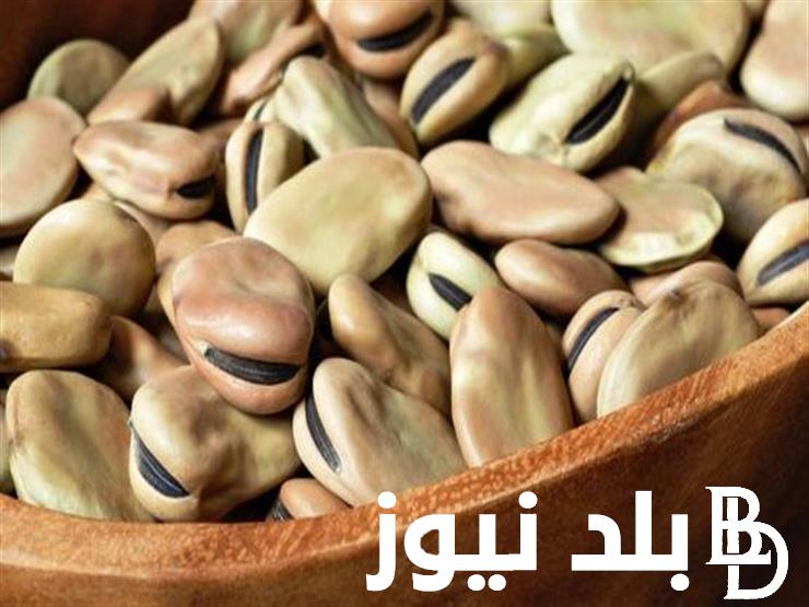 “مش هناكل فول تاني” سعر طن الفول البلدي اليوم الثلاثاء 30-4-2024 للمُستهلك بالاسواق المحلية