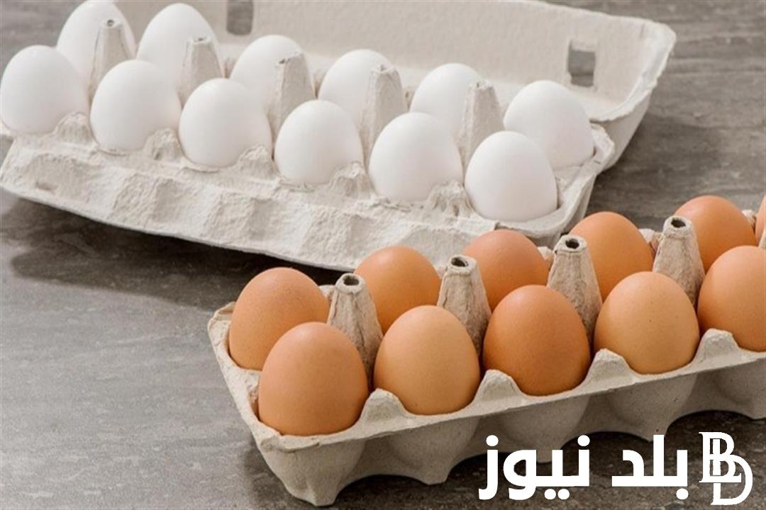 البلدي بكام؟.. سعر كرتونة البيض اليوم الاحد 7 ابريل 2024 في جميع المحلات التجارية والشركات