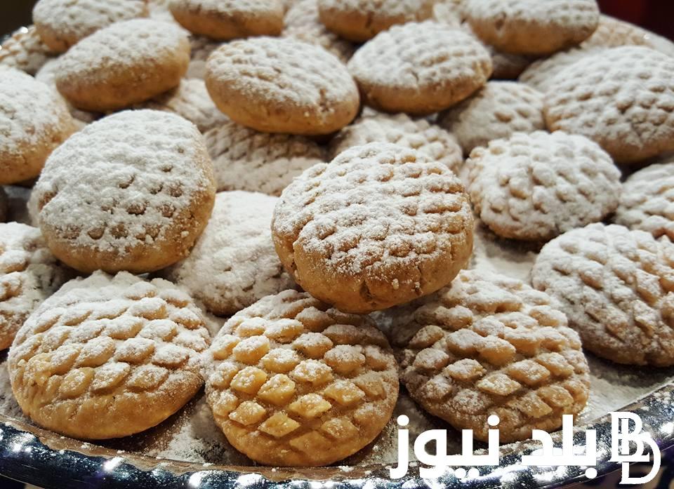 “بأسهل الطرق” بسكويت جوز الهند بالكوب بدون بيض او سمنة أو حليب هش وبيدوب في الفم