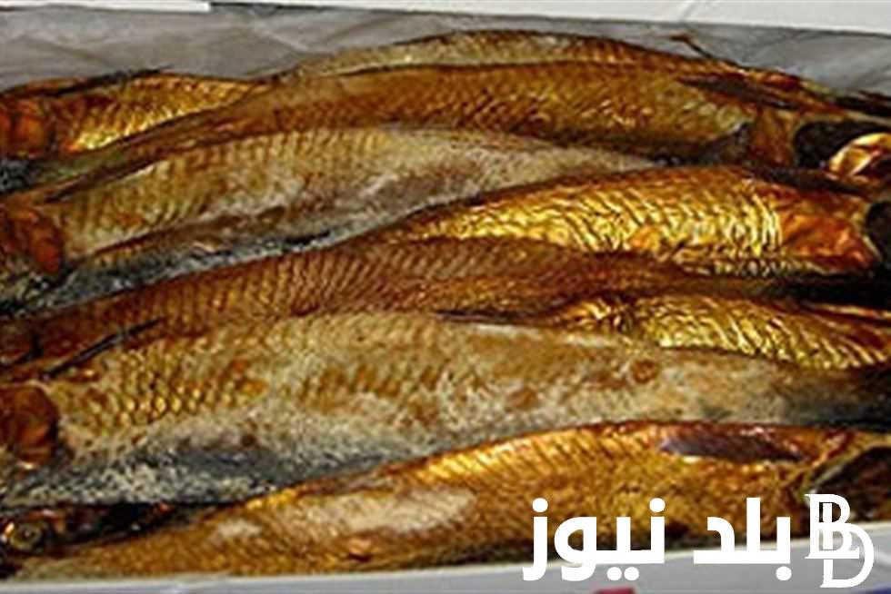 “اشتري قبل شم النسيم” سعر كيلو الرنجه اليوم الاثنين الموافق 15 ابريل 2024 للمستهلك في المحلات التجارية