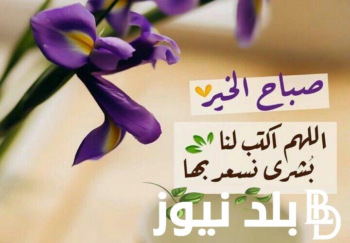 دعاء الصباح قصير 1445 لطلب الرزق والتوفيق في العمل.. الحمد لله أصبحنا على فطرة الإسلام