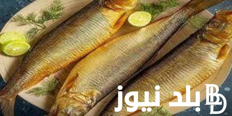 بكام الفسيخ انهاردة؟.. اسعار الرنجة والفسيخ اليوم الاربعاء 24 ابريل 2024 للمستهلك في المحلات التجارية